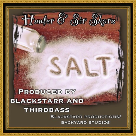 Salt ft. Sir Skarz cover art
