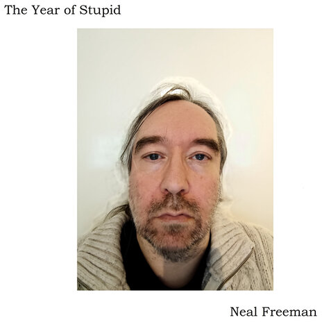 The Fire (2025 Remix) cover art
