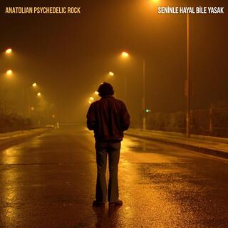 Seninle Hayal Bile Yasak cover art