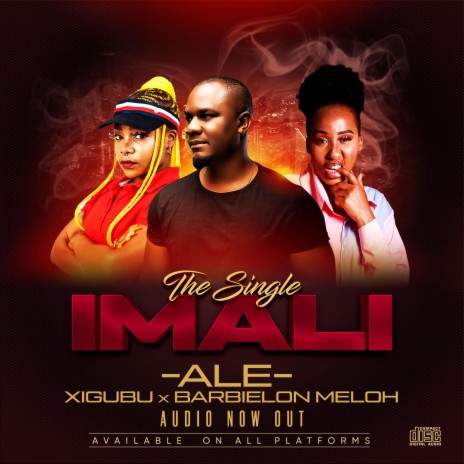 Imali ft. Barbielon Meloh & Xigubu cover art