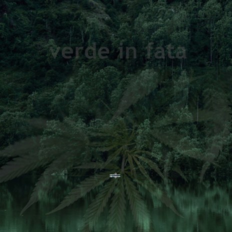 Verde In Fata (Original Mix) cover art