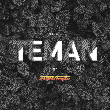 Teman cover art