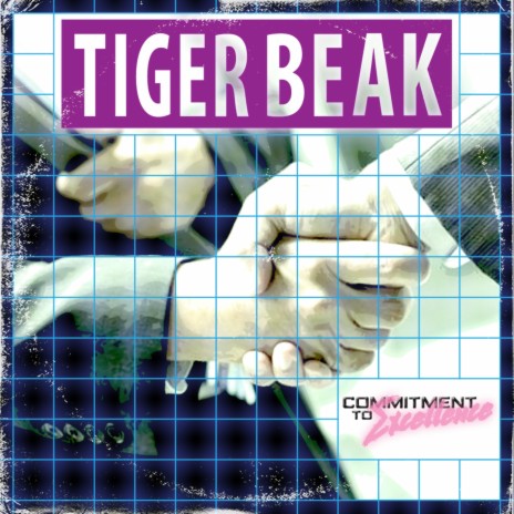 The Case Of The Missing ____ cover art
