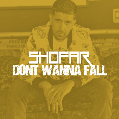 Dont Wanna Fall cover art