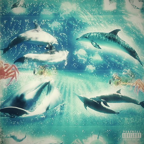 Seals n Pills cover art
