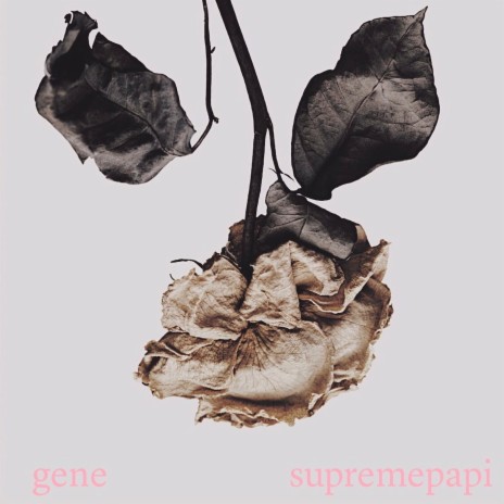 Sola ft. Supreme Papi cover art