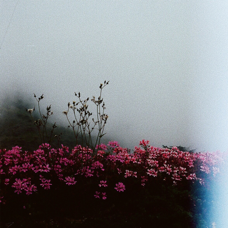 out of sight, on my mind cover art