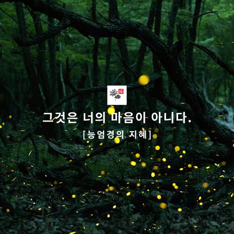 그것은 너의 마음이 아니다 cover art