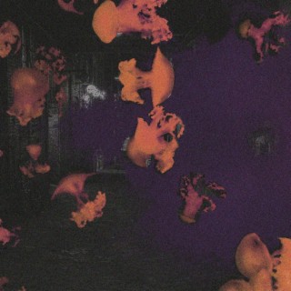 Purple Hell cover art