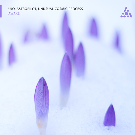 Awake ft. AstroPilot & Unusual Cosmic Process cover art