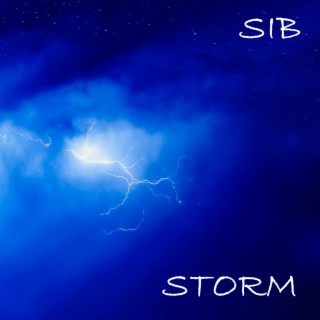 Storm cover art