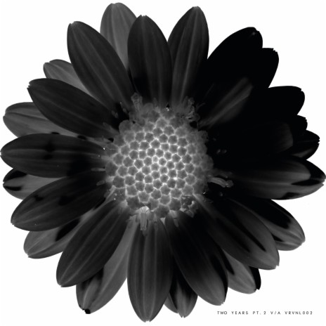 Dilation cover art
