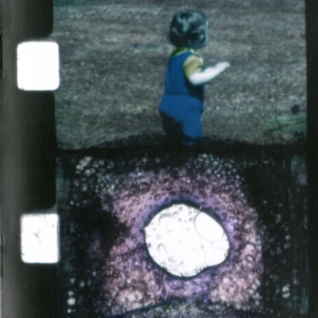 Splitting (Black Snow, White Blood) cover art
