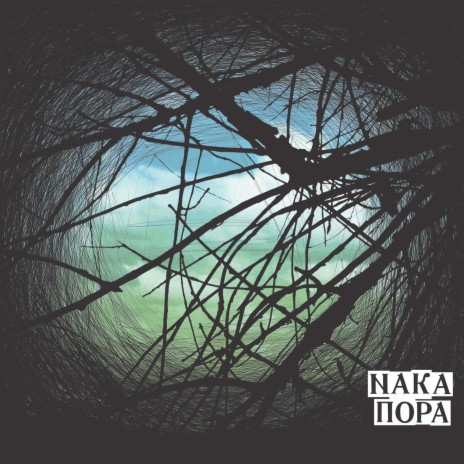 Цветочки cover art