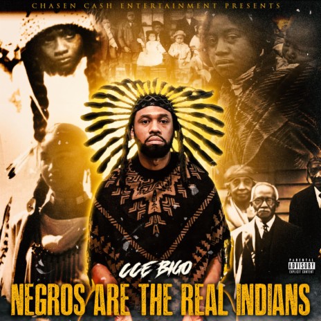 BLACK INDIAN cover art
