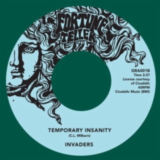 Temporary Insanity cover art