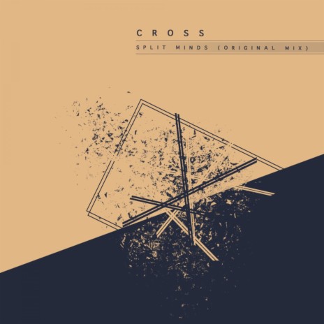 Split Minds cover art