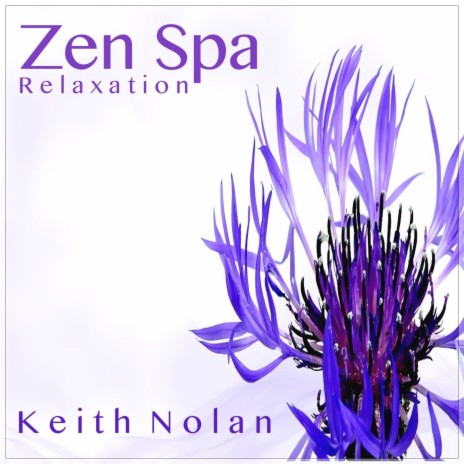 Stillness cover art