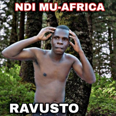 NDI MUAFRICA cover art