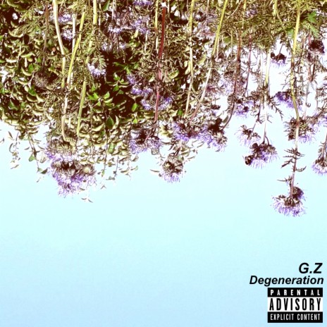 Degeneration cover art