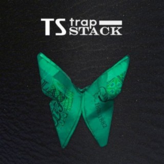 TS