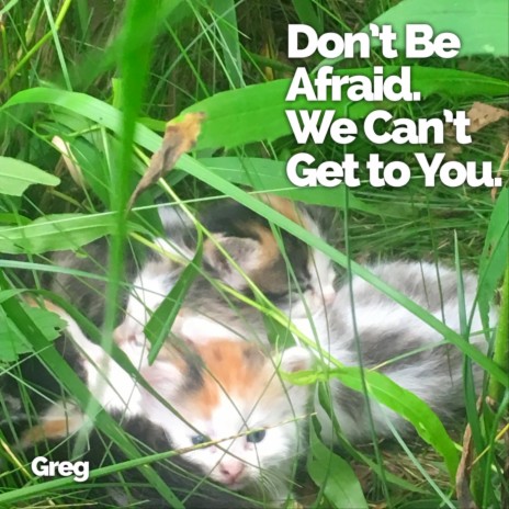 Don't Be Afraid. We Can't Get to You. cover art