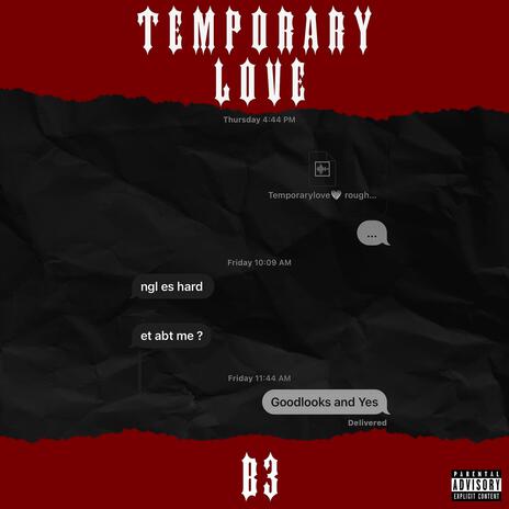 Temporary Love cover art