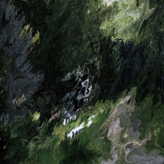 Black Forest