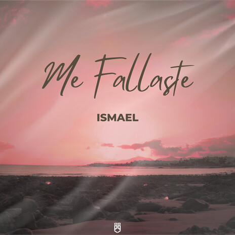 Me Fallaste cover art