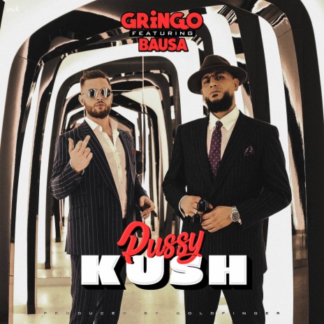 Pussy Kush ft. Bausa cover art