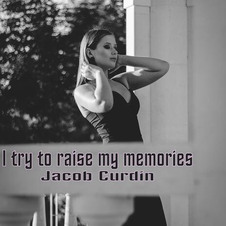 I try to raise my memories cover art