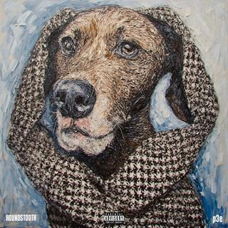 HOUNDSTOOTH