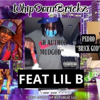 WHIPDEMBRICKZ! ft. Lil B cover art