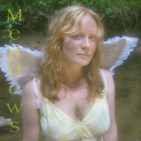 Fly cover art