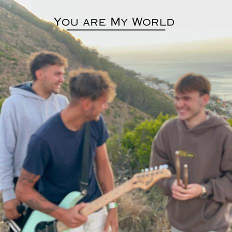 I Can't Live Without You cover art