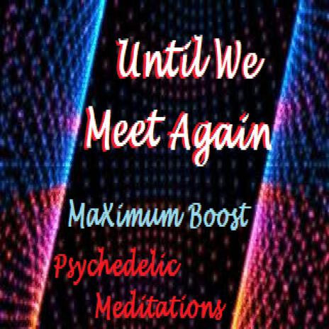 Until We Meet Again ft. Psychedelic Meditations
