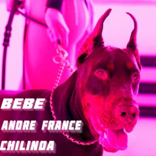 Andre France