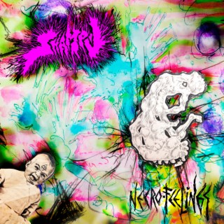 Necro-Feelings cover art