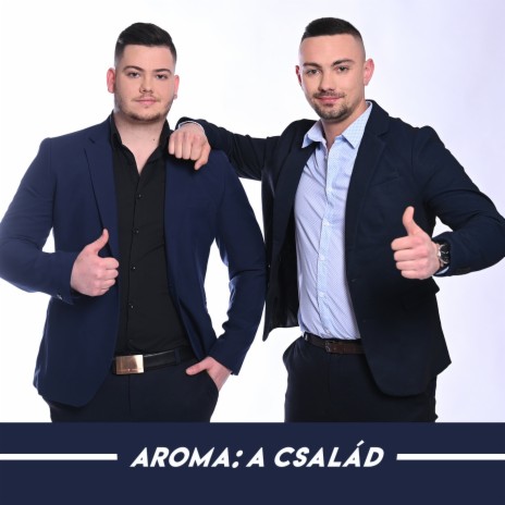 A család cover art