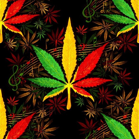 Light it up cover art