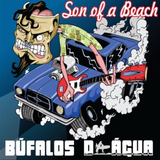 Son of a Beach: Búfalos D'agua