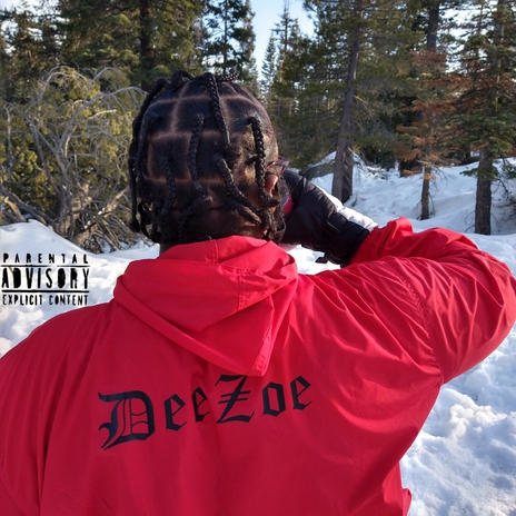 Wintertime Flowz cover art