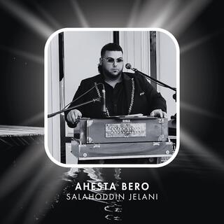 Salahoddin Jelani