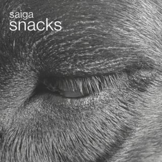 Saiga