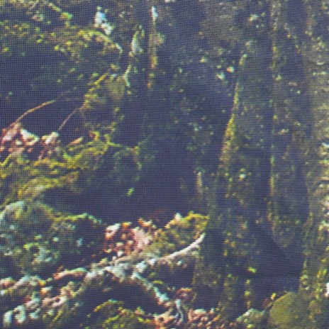 Fadaisco cover art