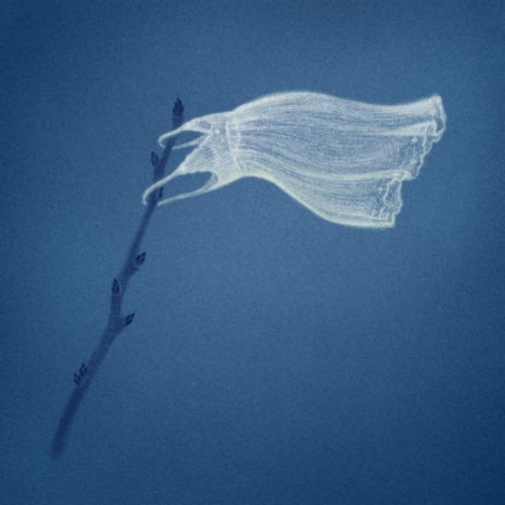 White Flag cover art
