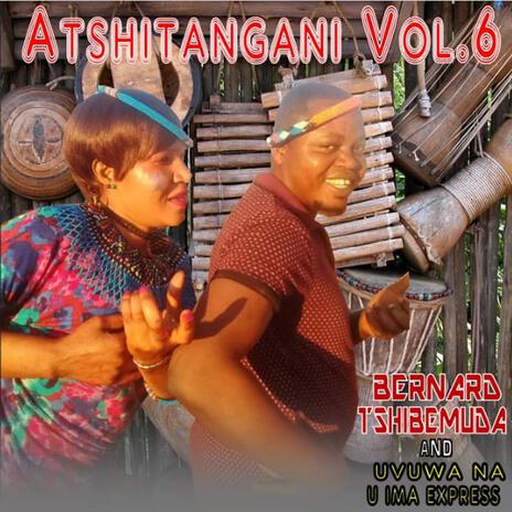 U tambudzwa cover art