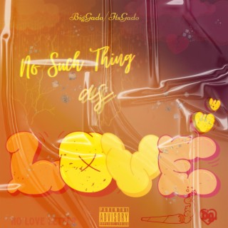 No Such Thing As Love