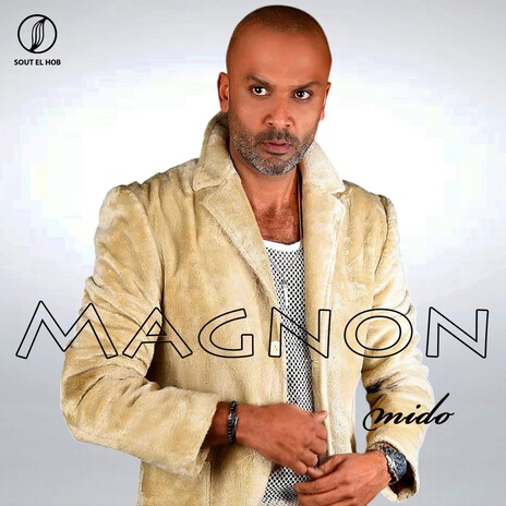 مجنون cover art