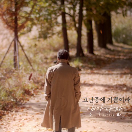 Joy in the Midst of Hardships (Inst.) cover art